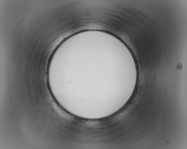 X0000111880845200908201255