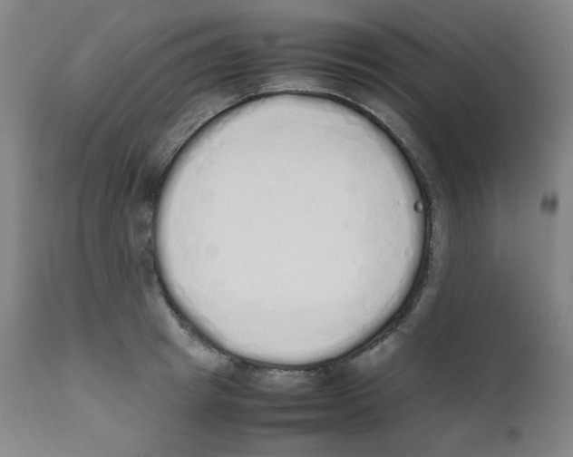 X0000111880849200908201255