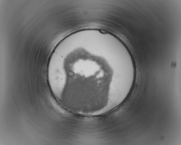X0000111880850200908201255