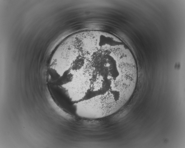 X0000111880851200908201255