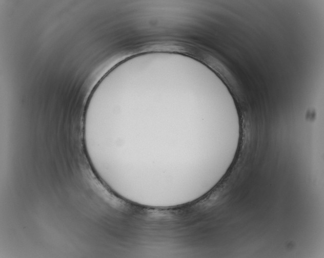 X0000111880852200908201255