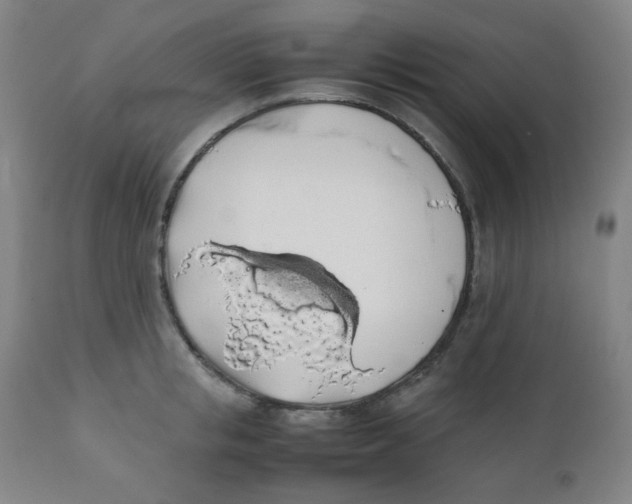 X0000111880853200908201255