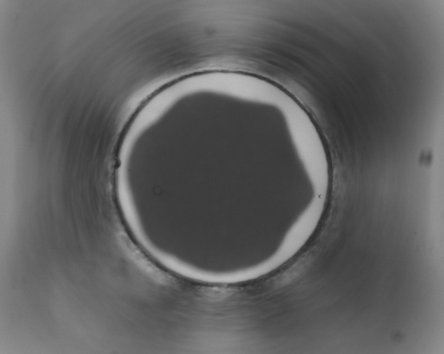X0000111880854200908201255