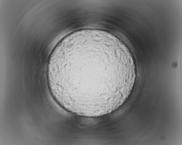 X0000111880855200908201255