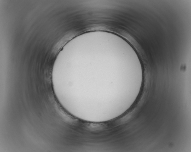 X0000111880857200908201255