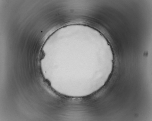 X0000111880858200908201255