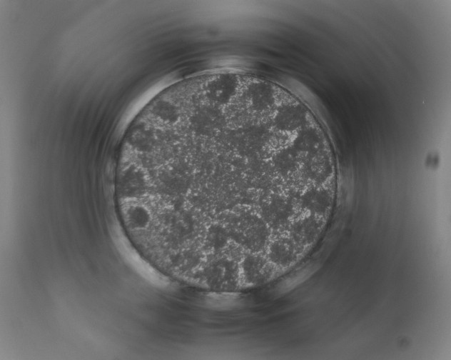 X0000111880859200908201255