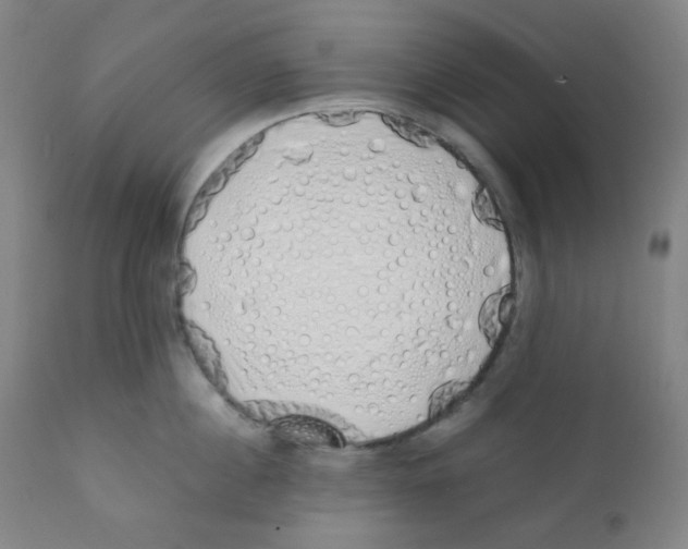 X0000111880860200908201255