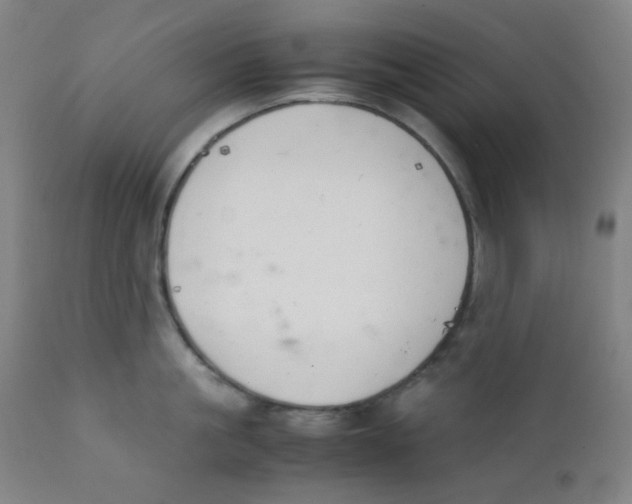 X0000111880861200908201255