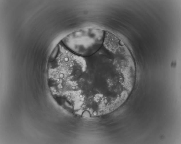 X0000111880863200908201255