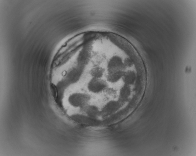 X0000111880864200908201255