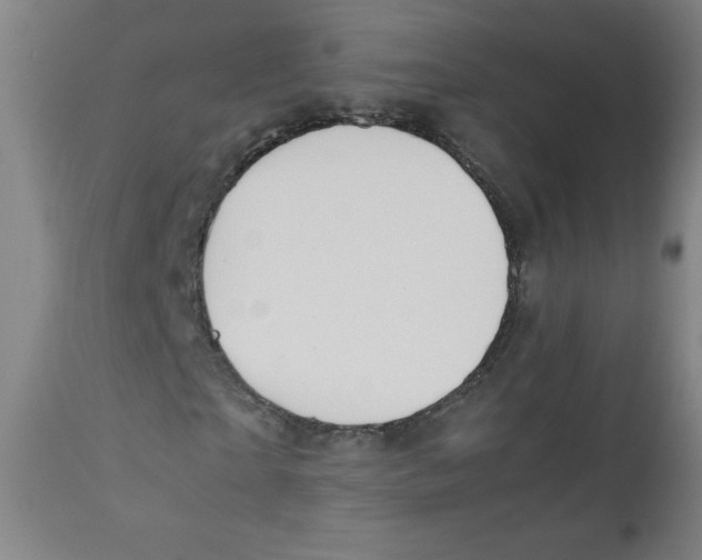 X0000111880865200908201255