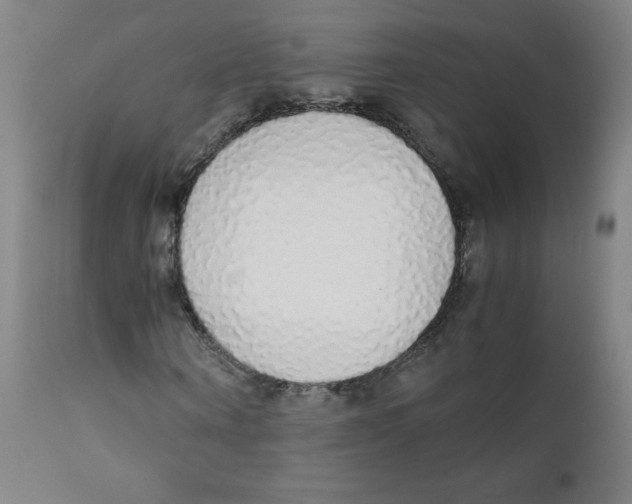 X0000111880866200908201255