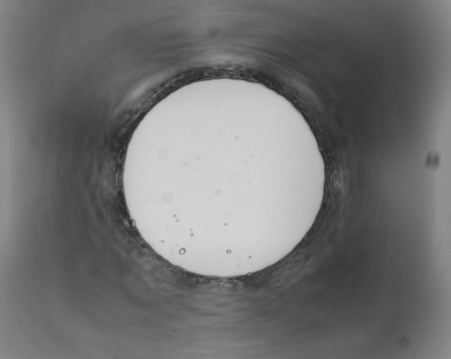 X0000111880869200908201255