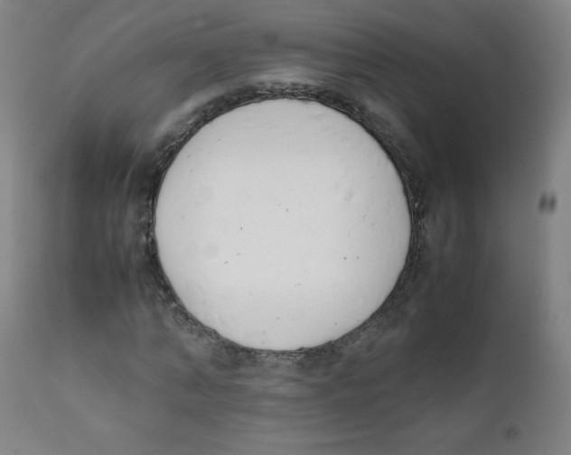 X0000111880870200908201255