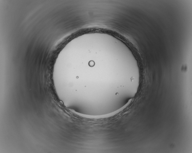 X0000111880872200908201255