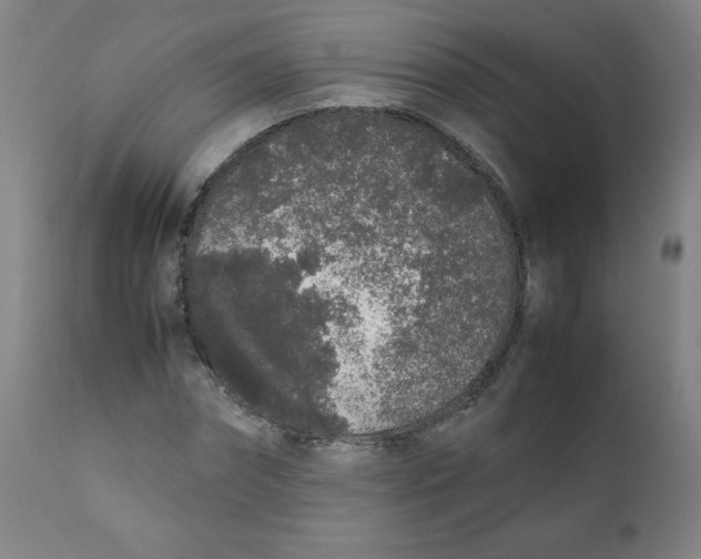 X0000111880874200908201255