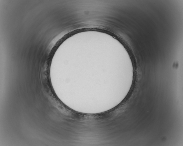 X0000111880875200908201255