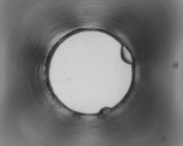 X0000111880876200908201255