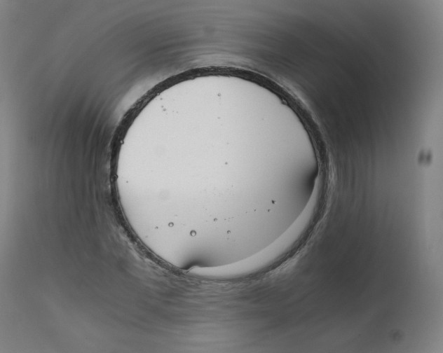 X0000111880877200908201255