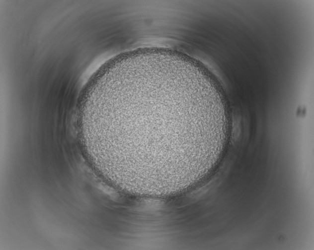X0000111880878200908201255