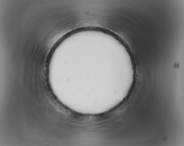 X0000111880879200908201255