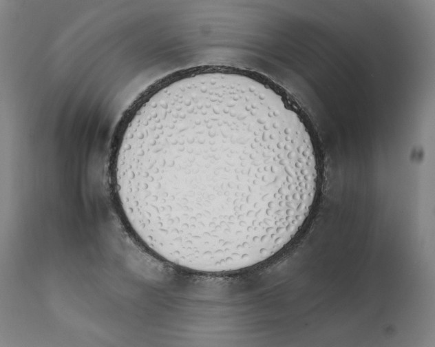 X0000111880880200908201255