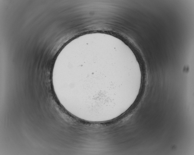 X0000111880881200908201255