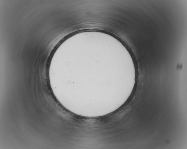 X0000111880883200908201255
