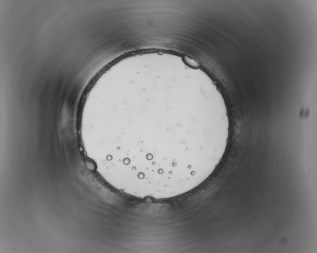 X0000111880884200908201255