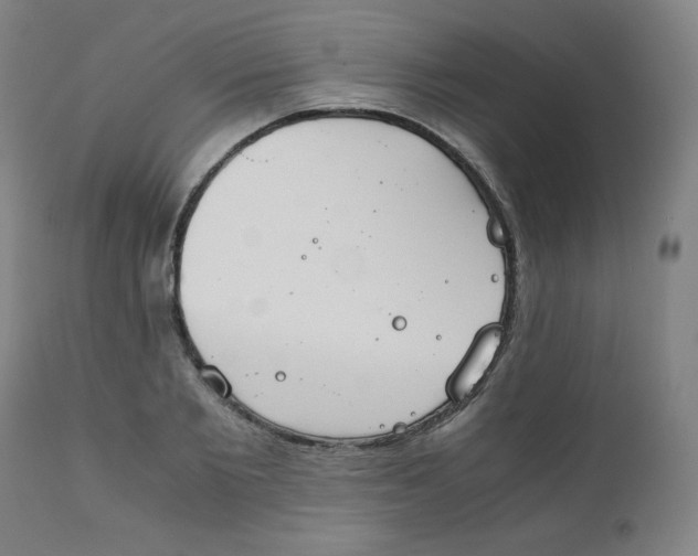 X0000111880885200908201255