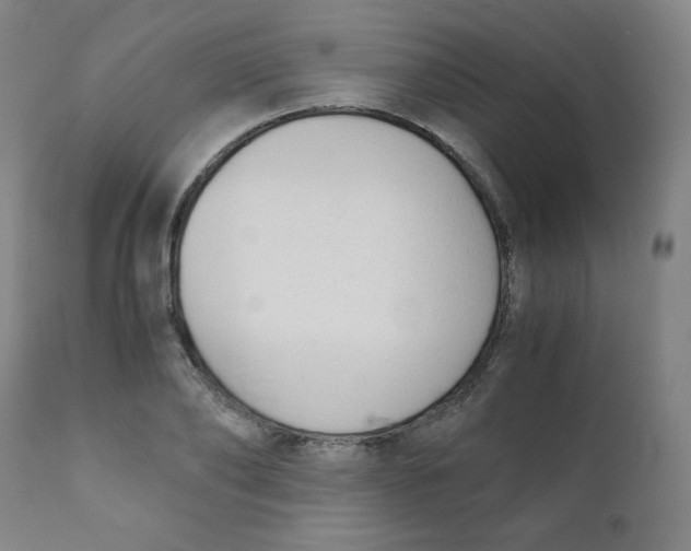 X0000111880886200908201255