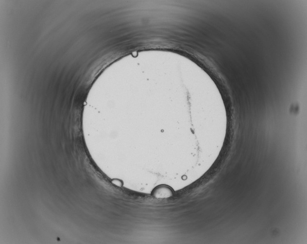 X0000111880889200908201254