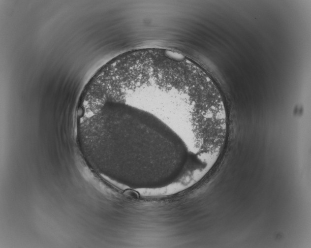 X0000111880892200908201254
