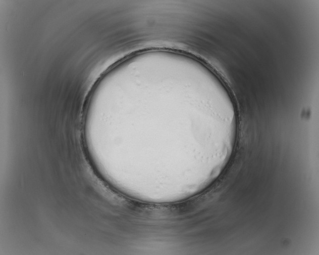 X0000111880895200908201254