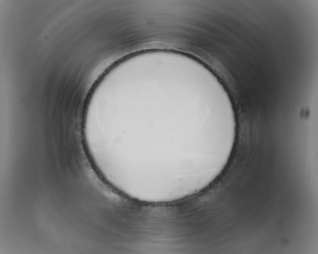 X0000111880896200908201254