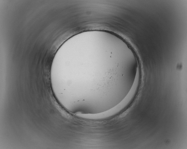 X0000111880897200908201254