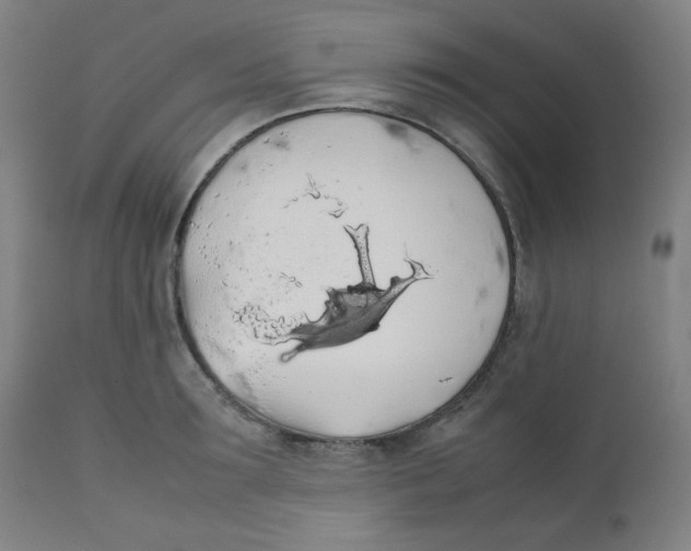 X0000111880899200908201254