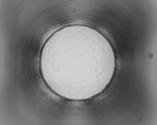 X0000111880900200908201254