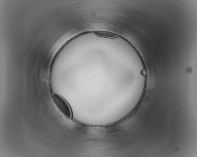 X0000111880901200908201254