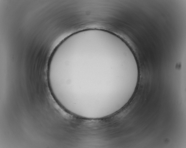 X0000111880902200908201254
