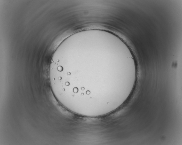 X0000111880905200908201254