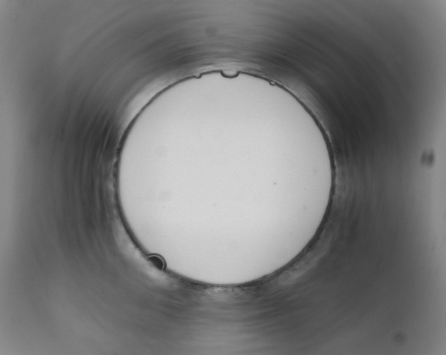 X0000111880906200908201254