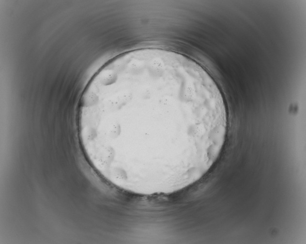 X0000111880907200908201254