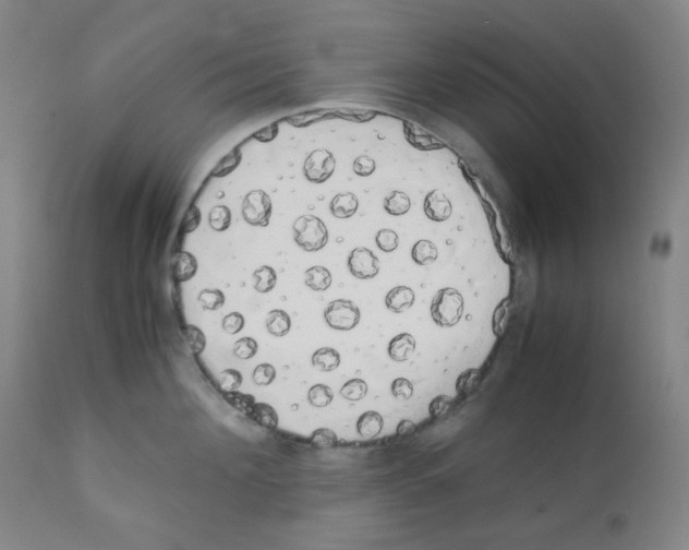 X0000111880908200908201254