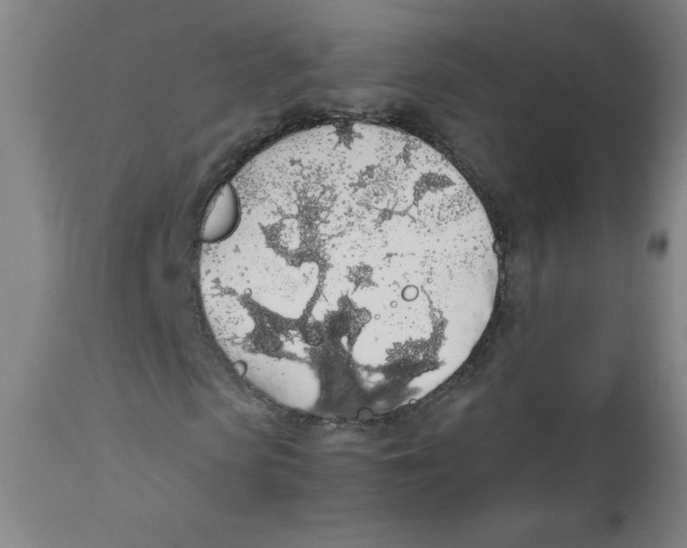 X0000111880913200908201253