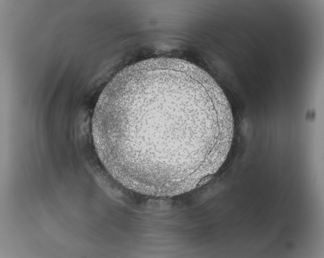 X0000111880914200908201253