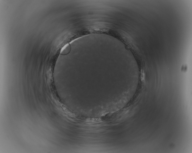 X0000111880915200908201254