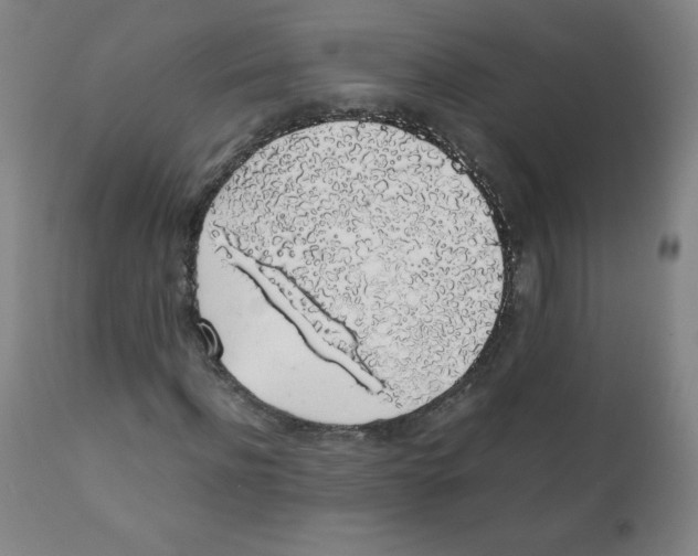 X0000111880916200908201254