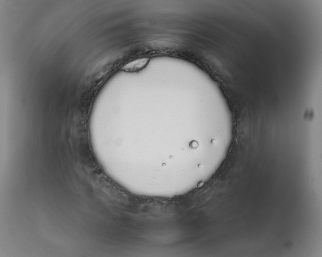 X0000111880917200908201254